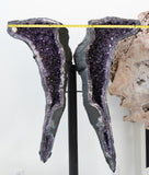 Life-Size Amethyst Wings