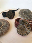 Ammonite Copper and Leather Bracelet