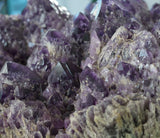 Amethyst RARE cluster XL/ Museum Collection