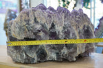 Amethyst RARE cluster XL/ Museum Collection