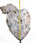 Pink Amethyst Heart - Museum Quality