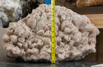 Crystalized Calcite - Rare Museum Quality
