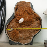 Citrine Geode - Museum Quality